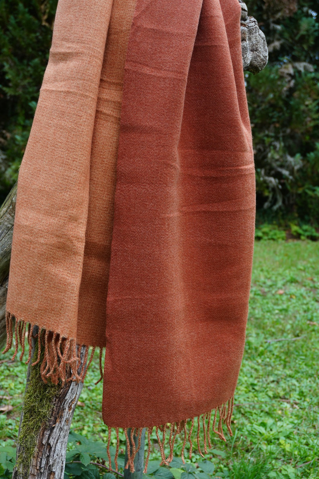 Kaschmir Pashmina Schal – Weicher, Luxus-Schal für Damen