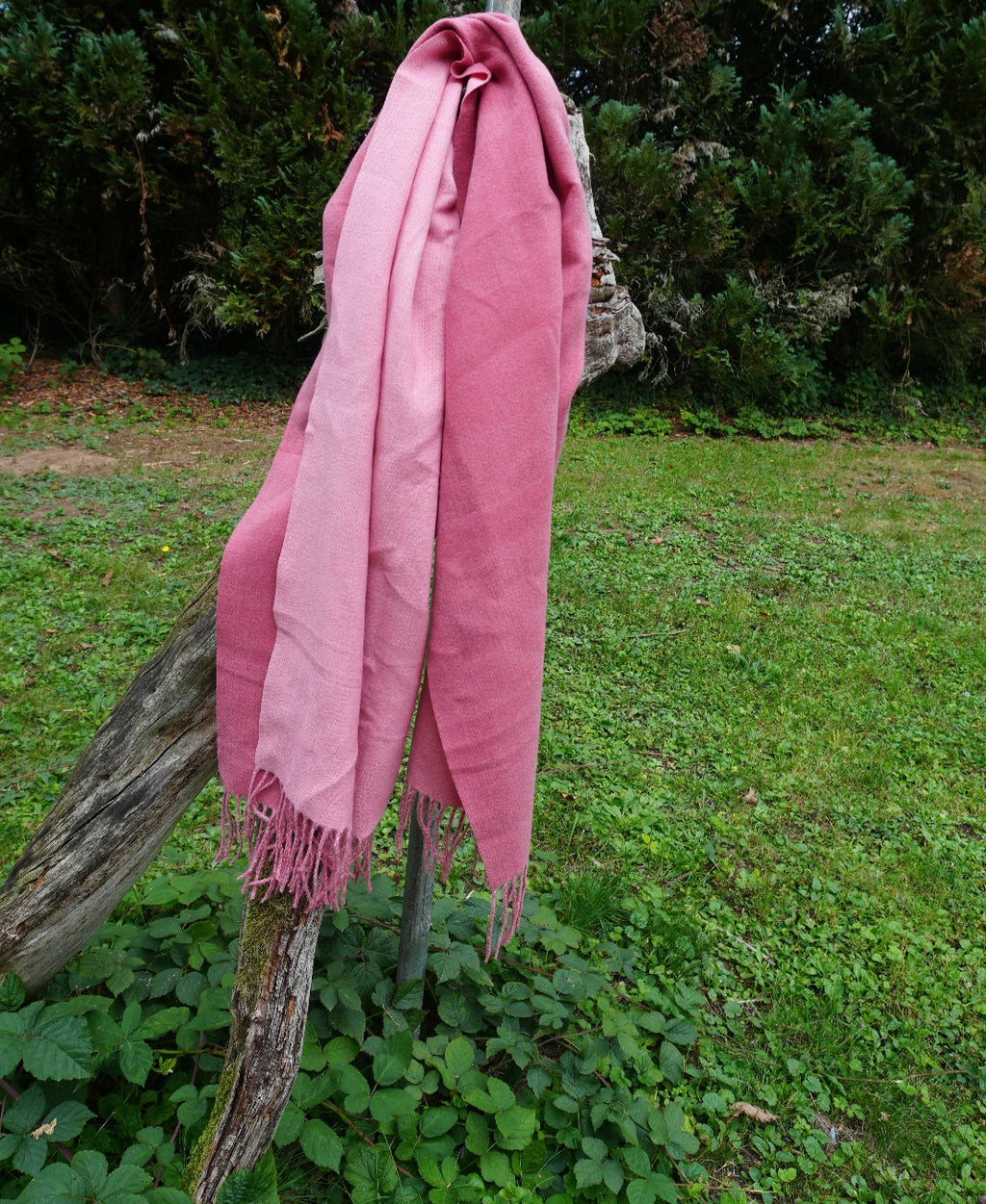 Kaschmir Pashmina Schal – Weicher, Luxus-Schal für Damen