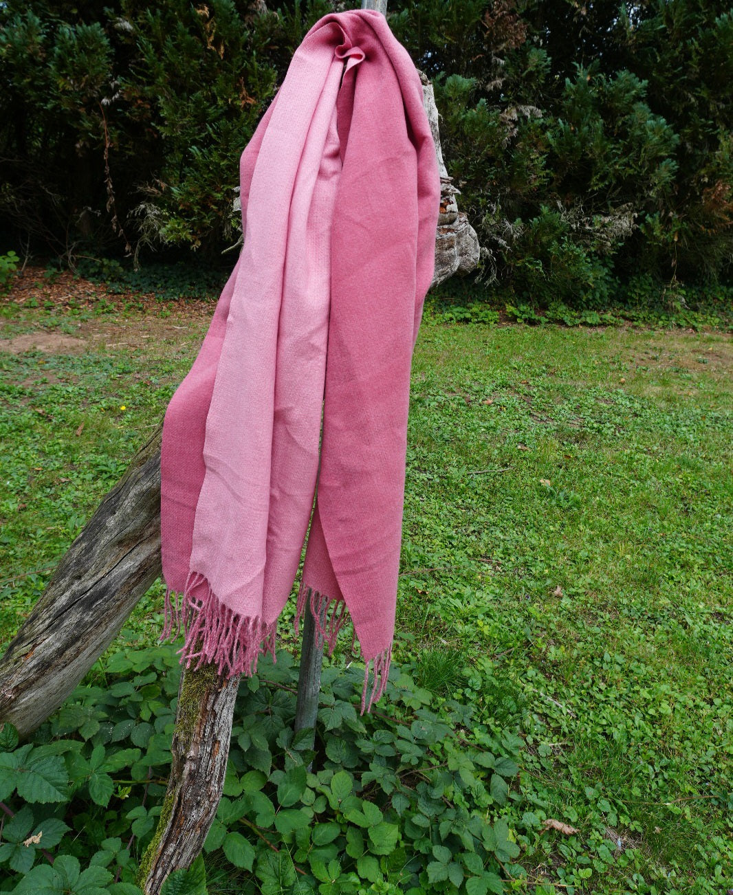 Kaschmir Pashmina Schal – Weicher, Luxus-Schal für Damen