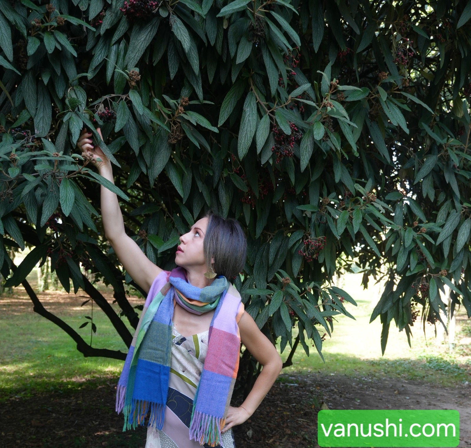 Plaid Damenschal aus Wolle – Weich, Warm & Stilvoll für Herbst und Winter