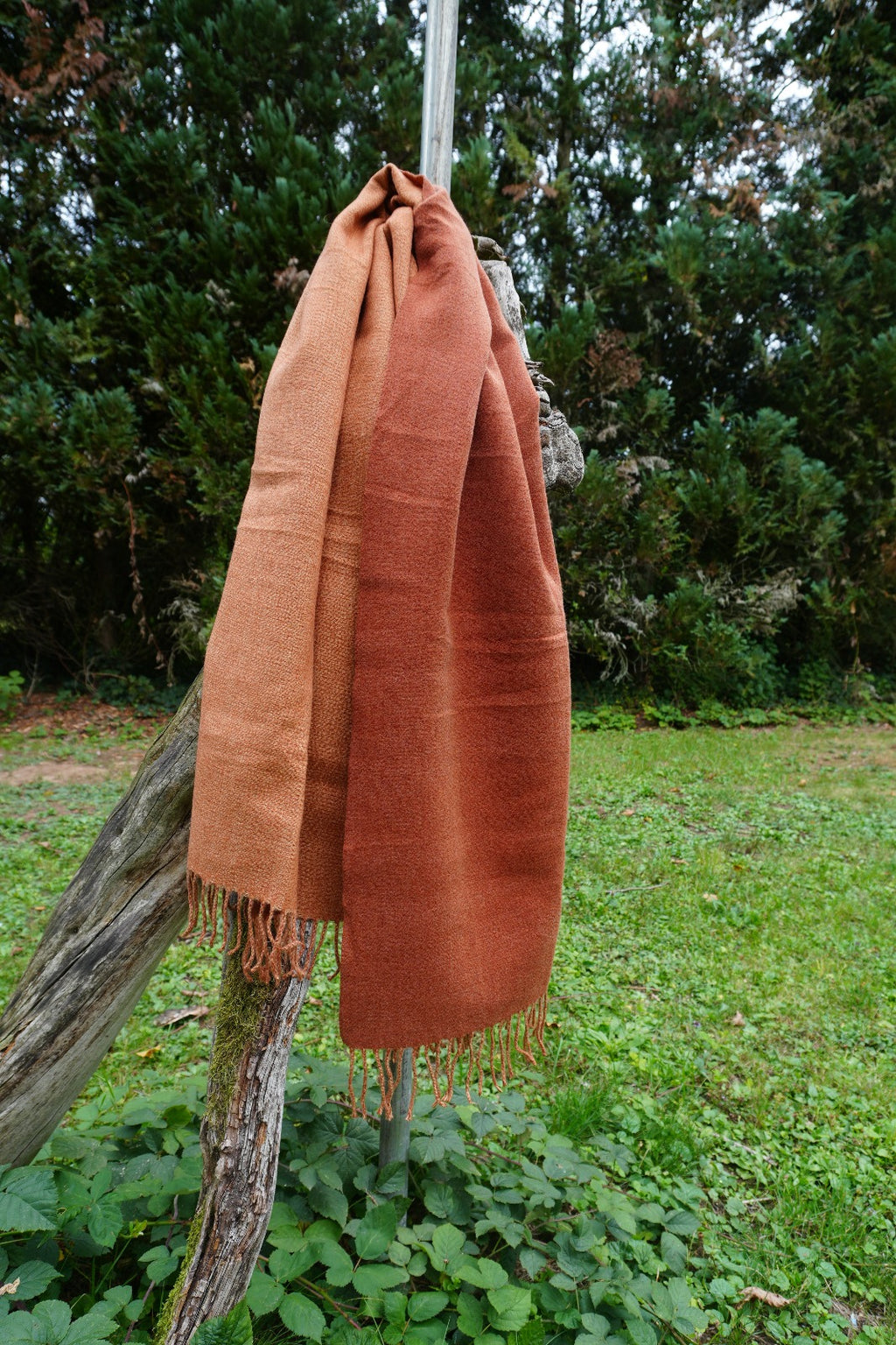 Kaschmir Pashmina Schal – Weicher, Luxus-Schal für Damen