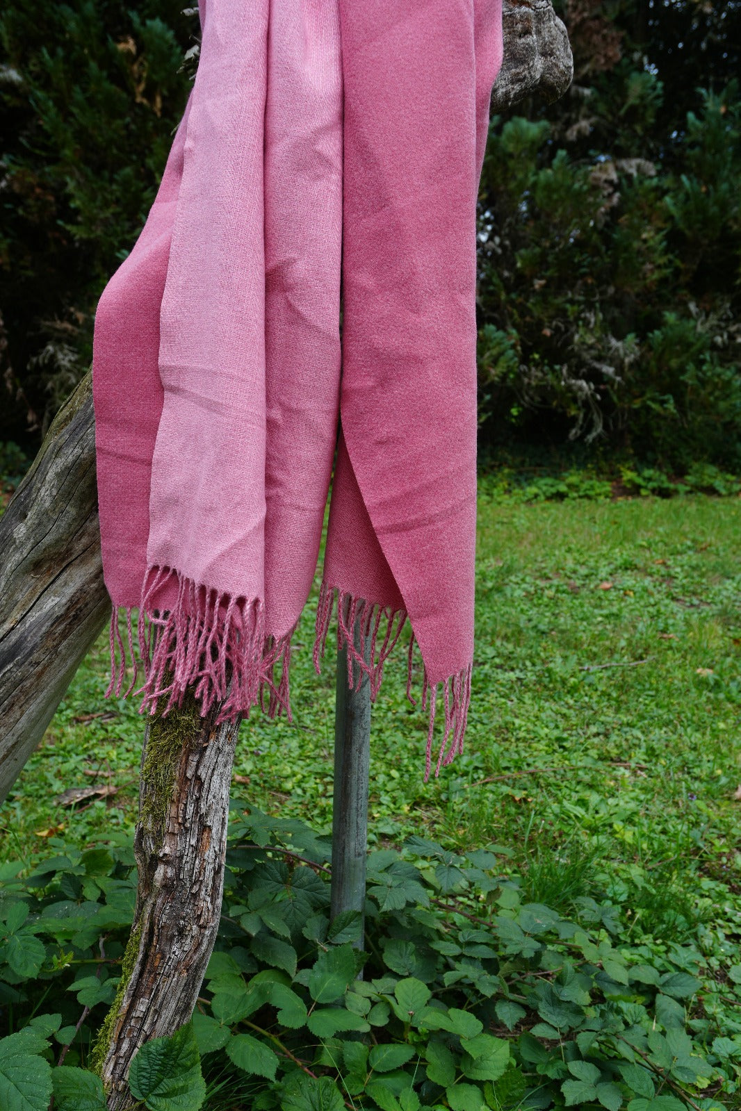 Kaschmir Pashmina Schal – Weicher, Luxus-Schal für Damen